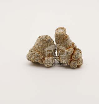 帶剪口的三七就不要買(mǎi)