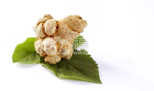 三七的效用有哪些？