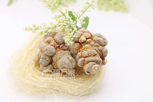 三七粉哪個牌子好？