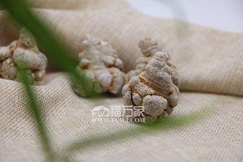 一斤三七多少錢？