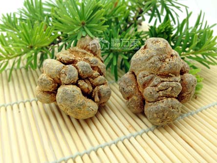 三七打粉前怎么處理？