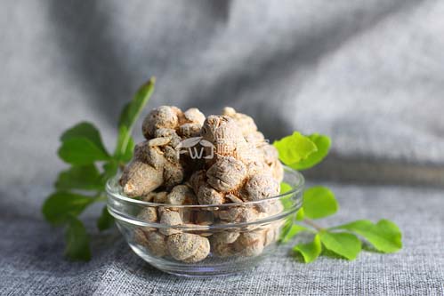三七打粉前怎么處理？