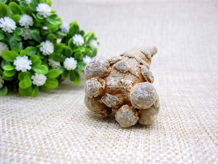 三七粉價(jià)格為什么差別這么大？