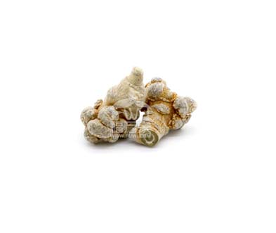 三七粉買多細(xì)的？多少目的好？