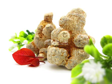 三七是大的好還是小的好？