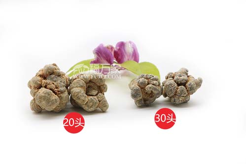 買三七送禮多少頭的最好？